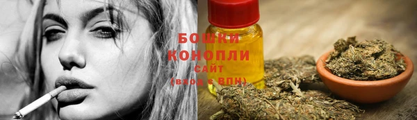 мет Бородино
