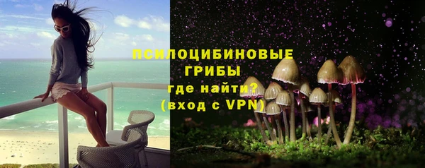 мет Бородино