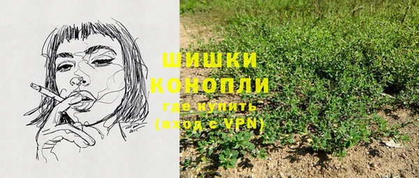 мдпв Бронницы