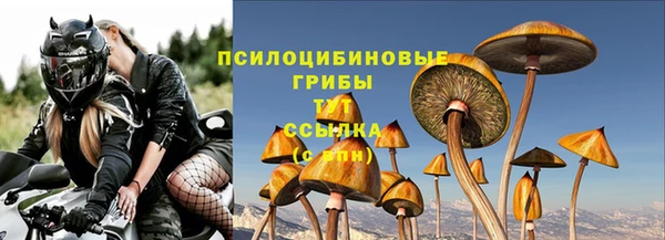 мет Бородино