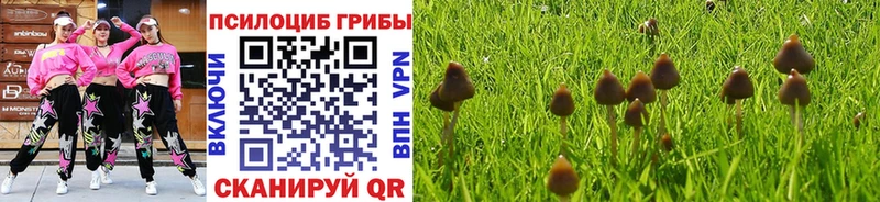 Псилоцибиновые грибы ЛСД Ковров